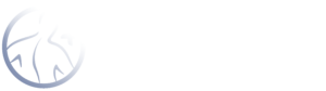 Selkäplus logo vaalea
